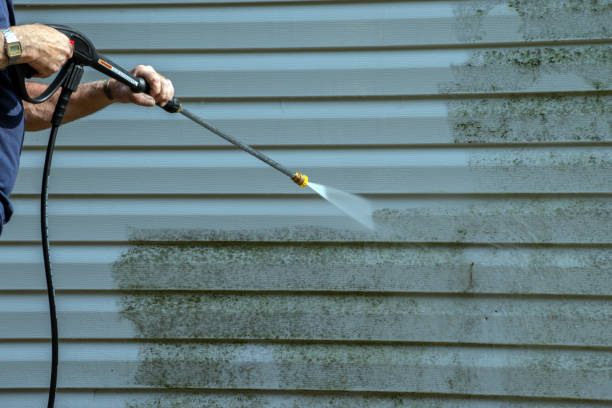 Best Solar Panel Cleaning  in Creola, AL